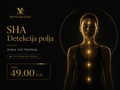 SHA Detekcija polja – Analiza trenutnog stanja sistema