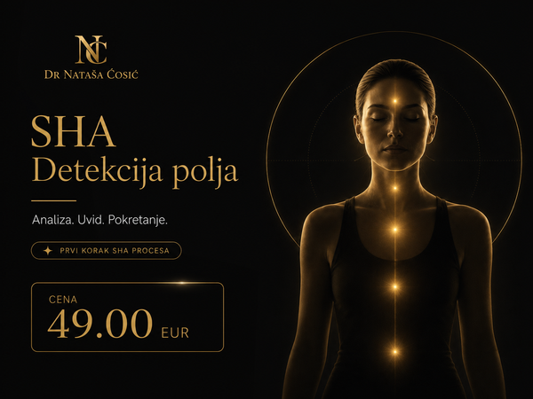 SHA Detekcija polja – Analiza trenutnog stanja sistema